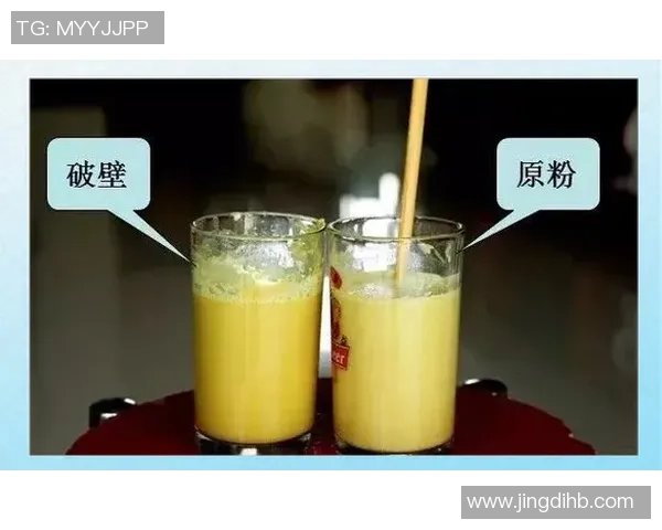 杭州羽毛球队技战术分析与控制得失的深度探讨